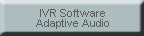 Adaptive Audio