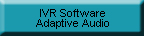 Adaptive Audio