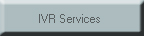 IVR Services